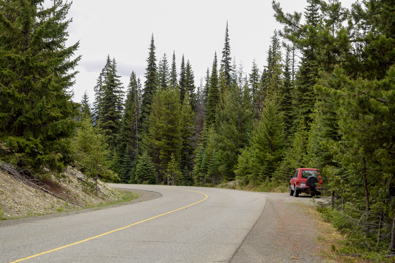 Illustration for article titled Went to a wedding in Manning Park this weekend